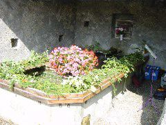 DSC00003