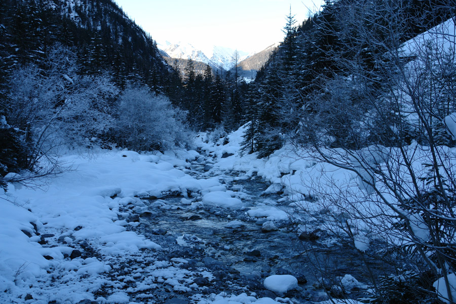 aua_uina_december_7
