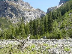 Paraids dal Piz Gliasen
