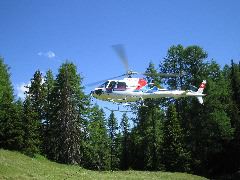 IMG_1459