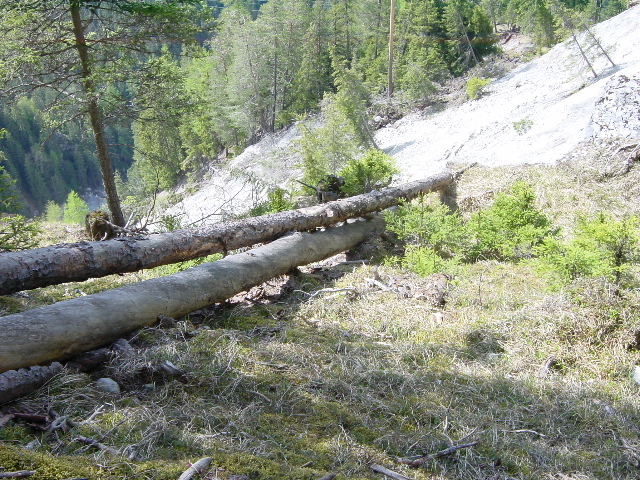 DSC00001.JPG