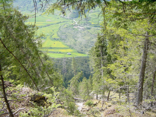 DSC00005.JPG