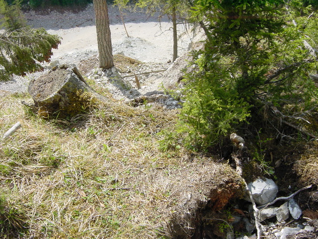DSC00007.JPG