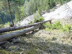 DSC00001.JPG
