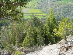 DSC00004.JPG