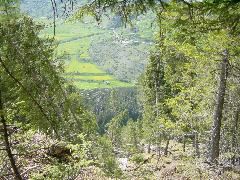 DSC00005.JPG