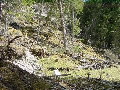 DSC00006.JPG