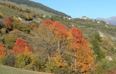 bescha1
