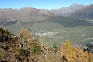 DSC09033