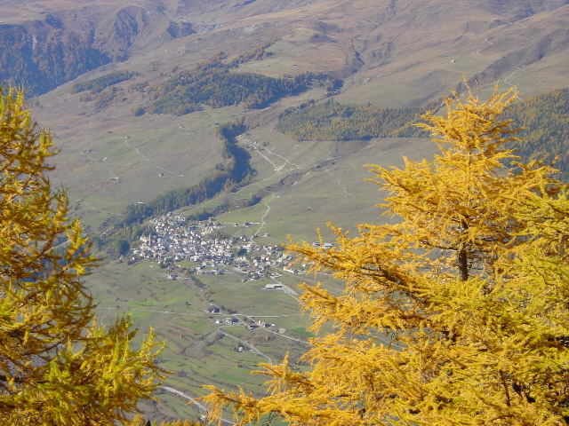 &copy;cr 20041024 schalambert_larschs_sent_15