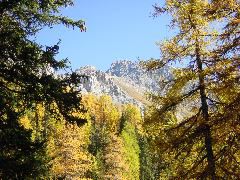 &copy;cr 20041024 schalambert_piz_21