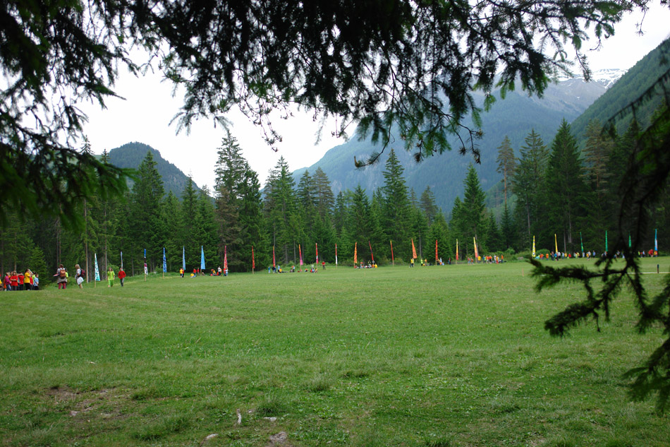 DSC07539