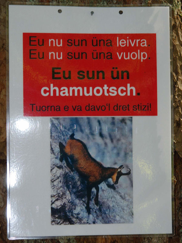 4.2_chamuotsch