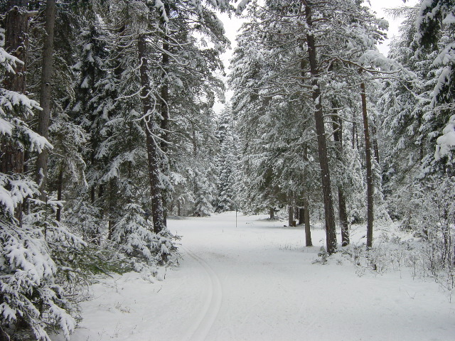 DSC00003.JPG