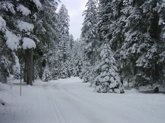 DSC00005.JPG