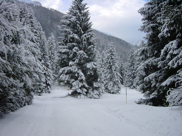 DSC00006.JPG
