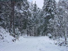 DSC00001.JPG