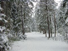DSC00003.JPG