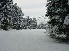 DSC00004.JPG