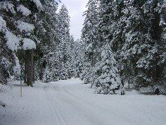 DSC00005.JPG