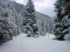 DSC00006.JPG