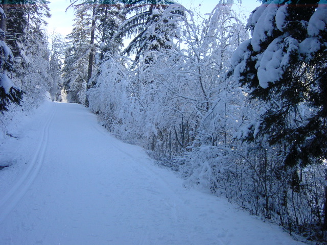 DSC00003.JPG