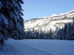DSC00002.JPG