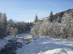 DSC00014.JPG