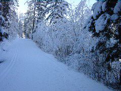 DSC00003.JPG