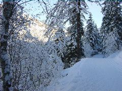 DSC00004.JPG