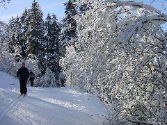 DSC00005.JPG