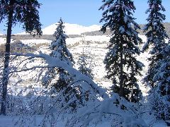 DSC00007.JPG