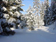 DSC00009.JPG