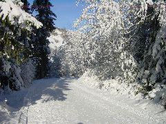 DSC00010.JPG