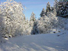 DSC00011.JPG