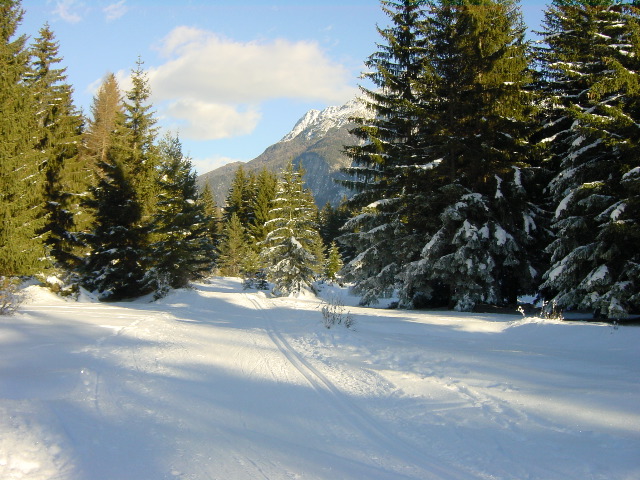 passlung1_1