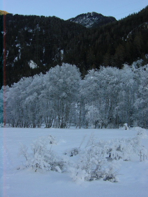 passlung2_1