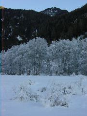 passlung2_1