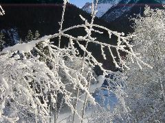 passlung5JPG_1