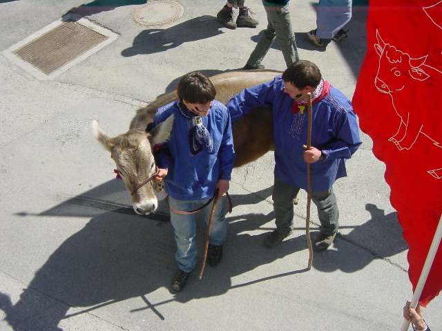 La cuolpa dal fallà