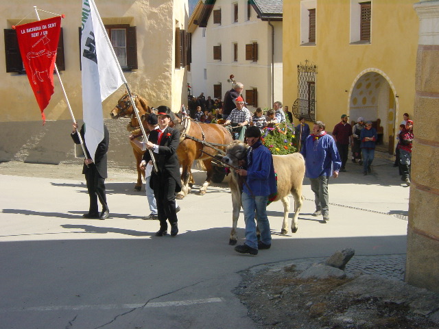 il bouv, quel giaiv'il prüm